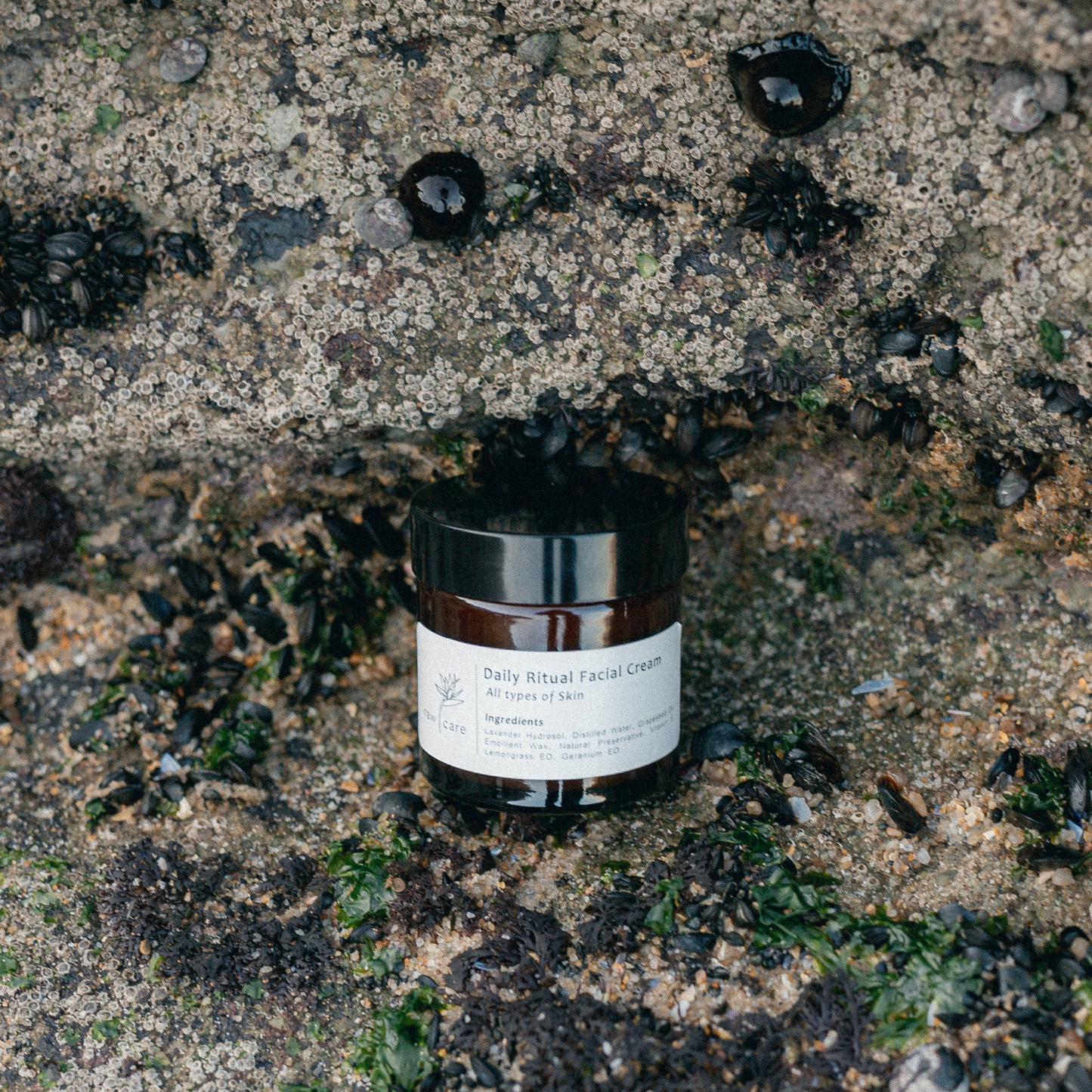 Daily Ritual Facial Cream